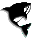 Orca-04.gif