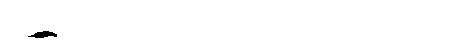 Orca-07.gif
