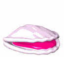 Ostra-04.gif
