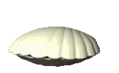 Ostra-05.gif