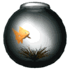 Avatar-Pecera-03.gif