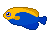 Imagen-animada-Pez-tropical-02.gif