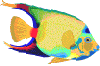 Imagen-animada-Pez-tropical-07.gif