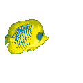 Imagen-animada-Pez-tropical-08.gif