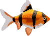 Imagen-animada-Pez-tropical-14.gif