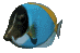 Imagen-animada-Pez-tropical-15.gif