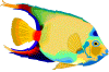 Imagen-animada-Pez-tropical-17.gif
