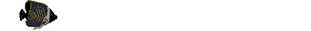 Imagen-animada-Pez-tropical-21.gif