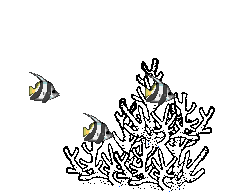 Imagen-animada-Pez-tropical-23.gif
