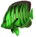 Imagen-animada-Pez-tropical-26.gif