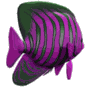 Imagen-animada-Pez-tropical-30.gif