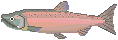 Pez-103.gif