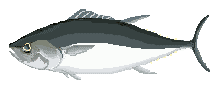 Pez-119.gif