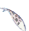 Pez-124.gif