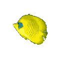 Pez-142.gif