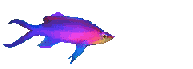 Pez-145.gif