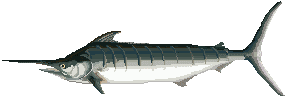 Pez-148.gif