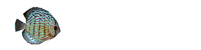 Pez-15.gif