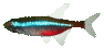 Pez-160.gif