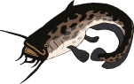 Pez-173.gif