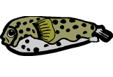 Pez-20.gif
