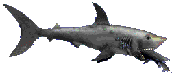 Pez-35.gif