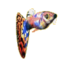 Pez-48.gif