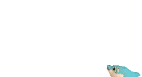 Pez-59.gif