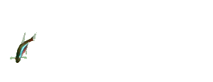 Pez-60.gif