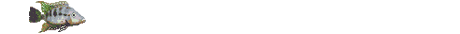 Pez-61.gif