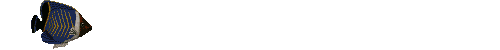 Pez-64.gif