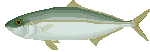 Pez-65.gif