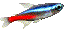 Pez-76.gif