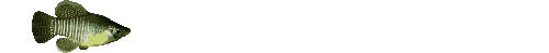 Pez-79.gif