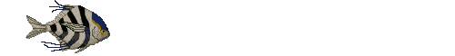 Pez-82.gif