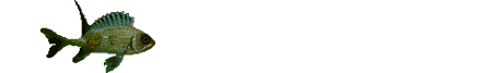 Pez-90.gif
