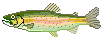 Pez-97.gif