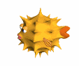 Imagen-animada-Pez-globo-05.gif