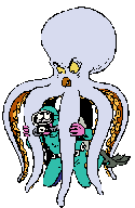 Pulpo-05.gif