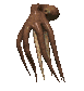 Pulpo-06.gif