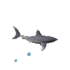 Avatar-Tiburon-04.gif