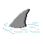 Imagen-animada-Tiburon-01.gif