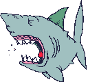 Imagen-animada-Tiburon-07.gif