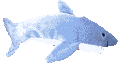 Imagen-animada-Tiburon-12.gif