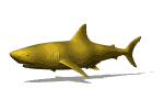Imagen-animada-Tiburon-28.gif
