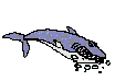 Imagen-animada-Tiburon-29.gif