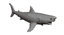 Imagen-animada-Tiburon-32.gif