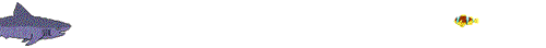 Imagen-animada-Tiburon-44.gif