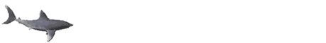 Imagen-animada-Tiburon-45.gif
