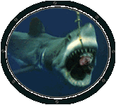Imagen-animada-Tiburon-51.gif